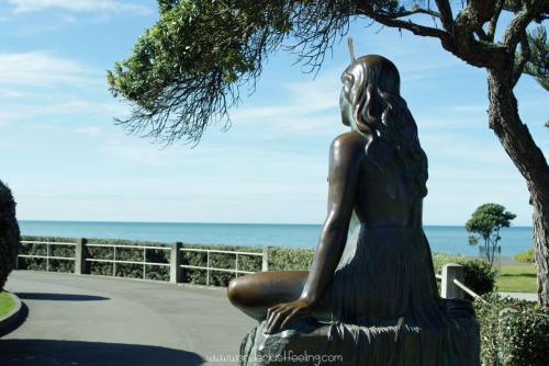 SONY DSC