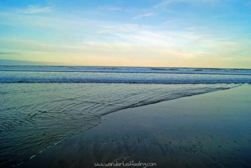 SONY DSC